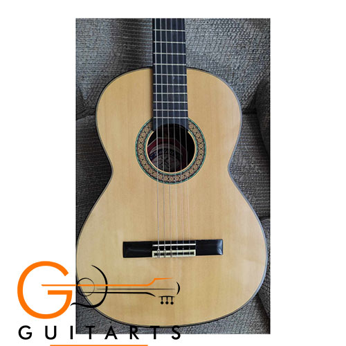 Guitarra Clásica de Rosa de la India - Edición Especial de 20 Año vida